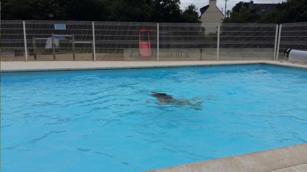 Mobil-Home Dans Camping Municipal Kermaria-Sulard エクステリア 写真